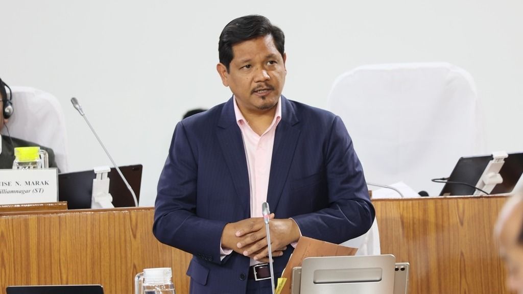 Meghalaya CM: Illegal timber seizures exceed 225 cubic metres over past two years