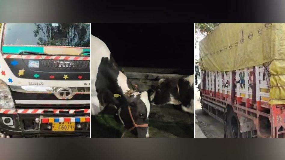 PDS rice smuggling racket busted: Guwahati police seize 240 sacks linked to Dhubri-Bangladesh trade PDS rice smuggling racket busted: Guwahati police seize 240 sacks linked to Dhubri-Bangladesh trade