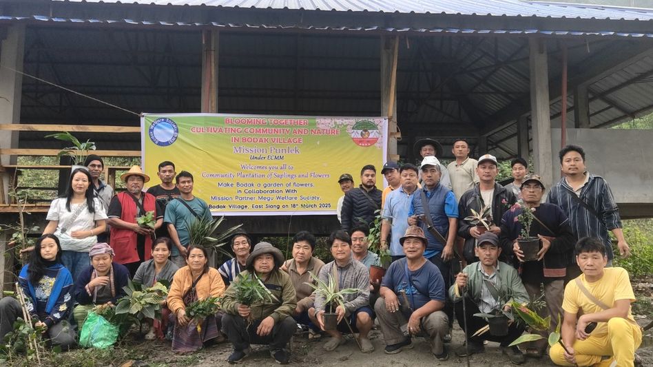 Arunachal's Bodak village goes green: Locals plant 300+ saplings to create floral haven Arunachal's Bodak village goes green: Locals plant 300+ saplings to create floral haven