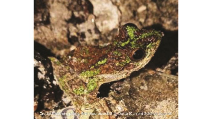 Photo credit: PW Shangpliang, RNK Hooroo and SK Dutta (Current Science)