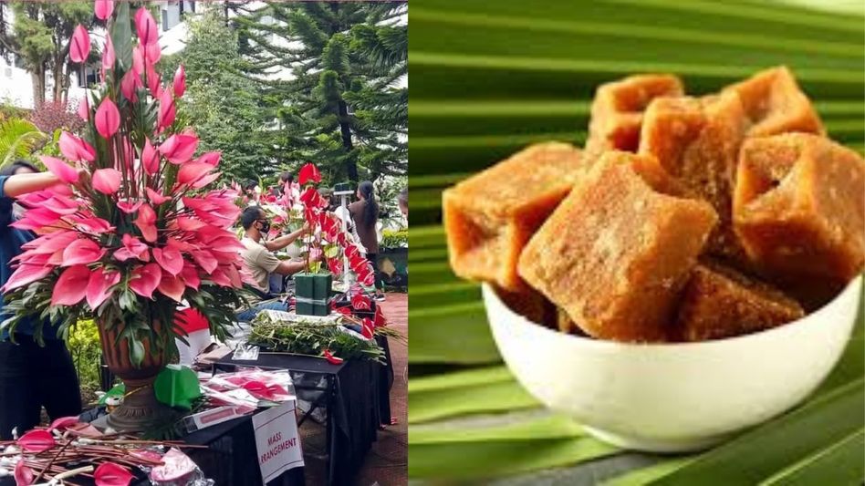 Mizoram’s Anthurium blooms in Singapore, UP’s GI-tagged jaggery reaches Bangladesh Mizoram’s Anthurium blooms in Singapore, UP’s GI-tagged jaggery reaches Bangladesh