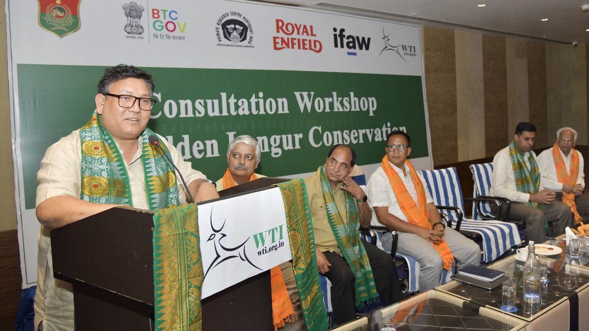 Assam: Experts collaborate to strengthen conservation strategies for golden langur Assam: Experts collaborate to strengthen conservation strategies for golden langur