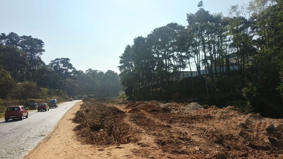 Meghalaya HC halts tree felling across state amid environmental concerns Meghalaya HC halts tree felling across state amid environmental concerns