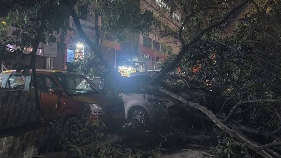 Tree falls near taxi stand in Singtam, damages three vehicles Tree falls near taxi stand in Singtam, damages three vehicles