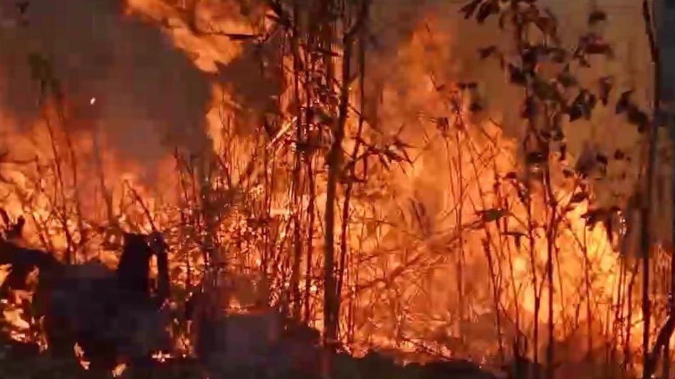 Nagaland: Forest burning banned in Kohima amid surge in fire incidents Nagaland: Forest burning banned in Kohima amid surge in fire incidents