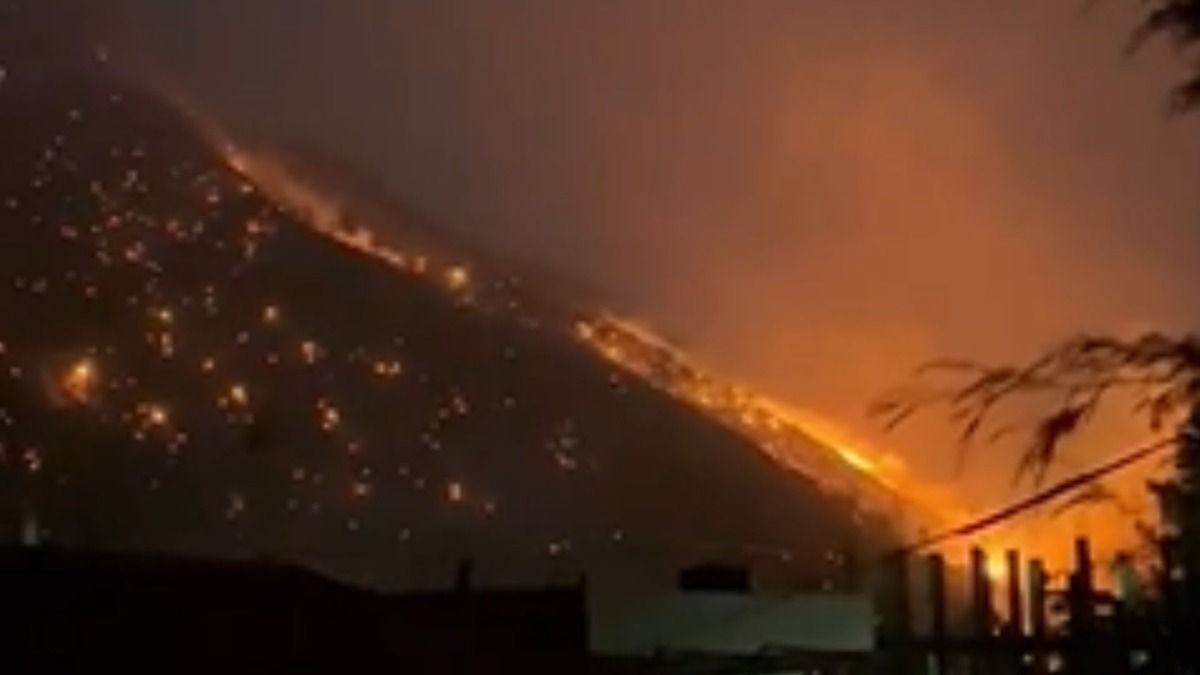 Forest fire in Arunachal's Dirang doused with no casualties reported Forest fire in Arunachal's Dirang doused with no casualties reported