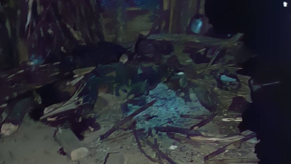 Manipur police destroy massive cache of narcotics in Imphal West Manipur police destroy massive cache of narcotics in Imphal West
