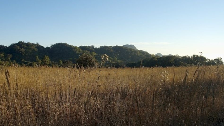 Telangana mountaineer scales Mizoram's highest peak, eyes Shillong next Telangana mountaineer scales Mizoram's highest peak, eyes Shillong next