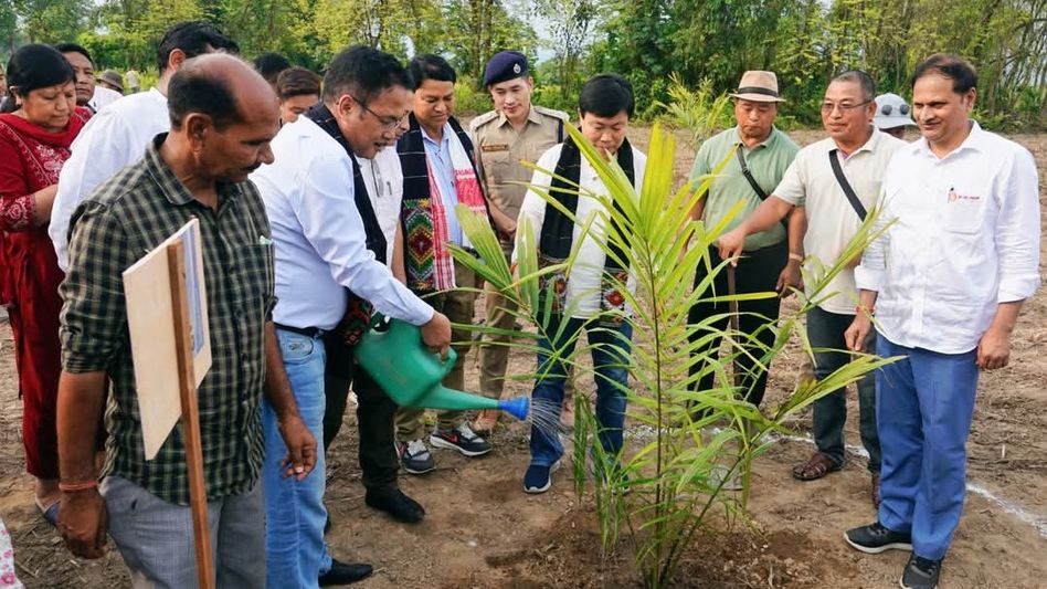 Arunachal's Lower Dibang Valley hosts mega oil palm plantation drive to boost self-reliance Arunachal's Lower Dibang Valley hosts mega oil palm plantation drive to boost self-reliance