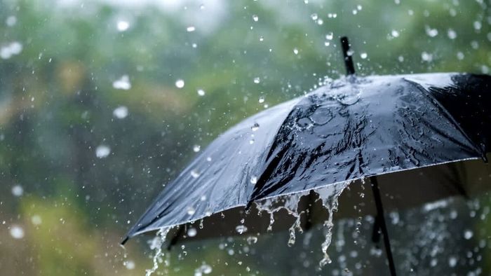 IMD issues orange alert for Tripura, warns of heavy rain and storms till May 17