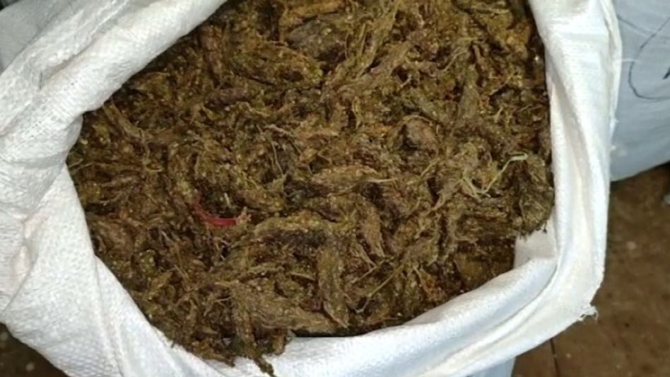 Massive ganja haul: Over 960 kg worth Rs 3 crore seized at Srirampur Massive ganja haul: Over 960 kg worth Rs 3 crore seized at Srirampur