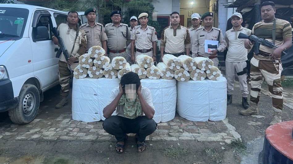 Manipur police arrest man for smuggling peacock feathers to Myanmar Manipur police arrest man for smuggling peacock feathers to Myanmar