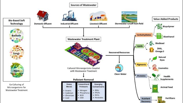 Nagaland University develops eco-tech to turn wastewater into clean resources
