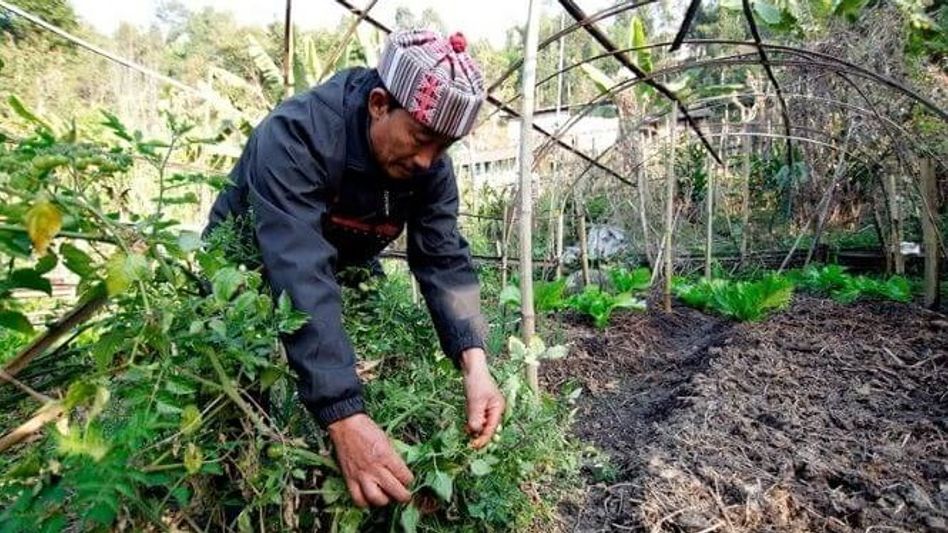 Sikkim begins Viksit Krishi Sankalp Abhiyan to boost organic farming ahead of Kharif Sikkim begins Viksit Krishi Sankalp Abhiyan to boost organic farming ahead of Kharif