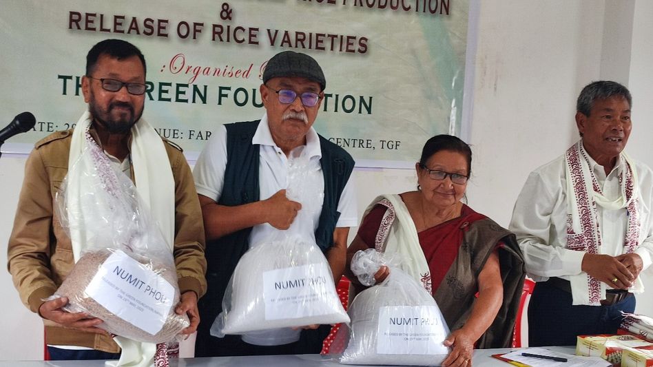 Manipur unveils five new disease-resistant, high-yielding paddy varieties to boost rice farming Manipur unveils five new disease-resistant, high-yielding paddy varieties to boost rice farming