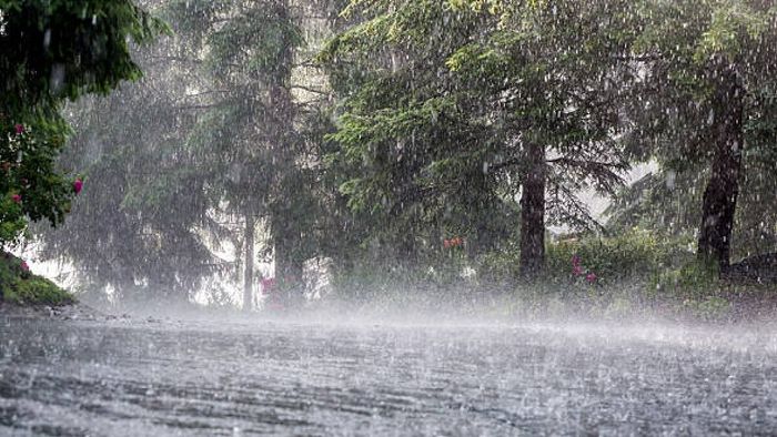 Heavy rainfall forces Meghalaya schools to adopt emergency safety measures
