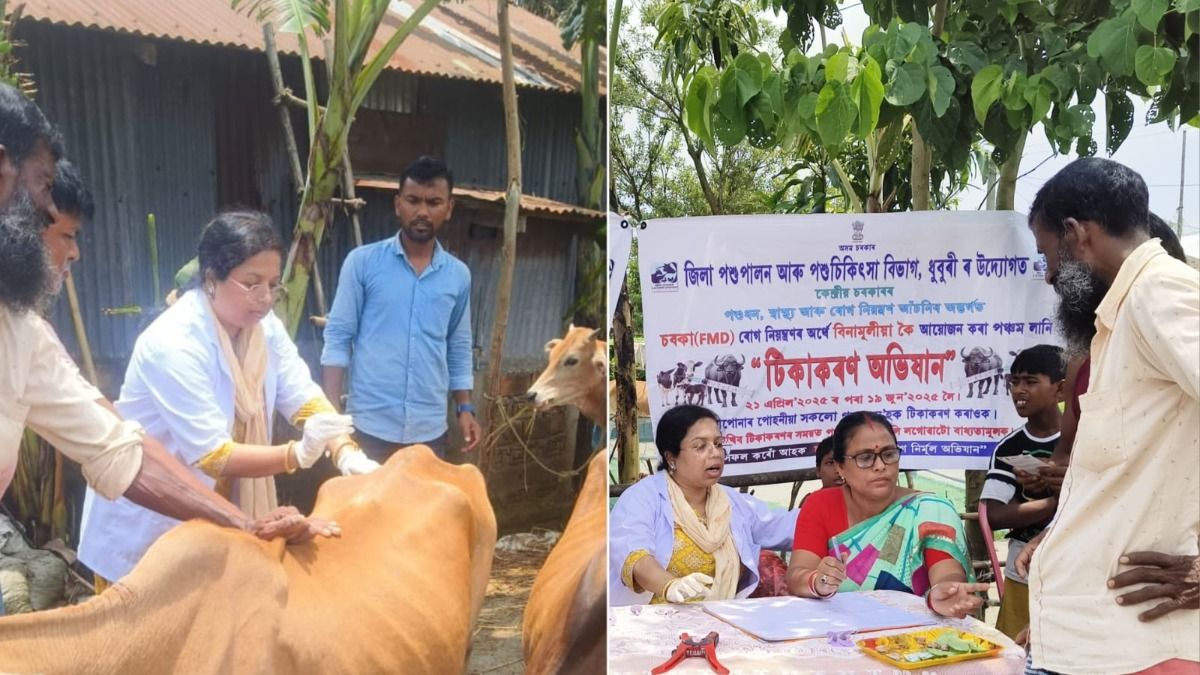 Assam: Pre-flood livestock vaccination drive strengthens animal health in Dhubri