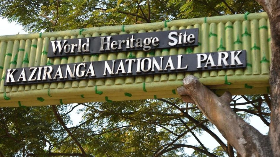Assam Cabinet approves 47,000-hectare expansion of Kaziranga National Park Assam Cabinet approves 47,000-hectare expansion of Kaziranga National Park