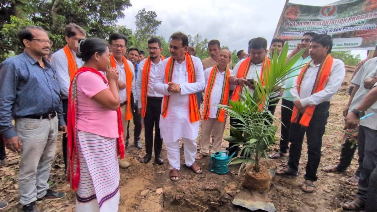 Mega oil palm plantation drive held in Tripura, finance minister urges farmers to embrace cultivation Mega oil palm plantation drive held in Tripura, finance minister urges farmers to embrace cultivation