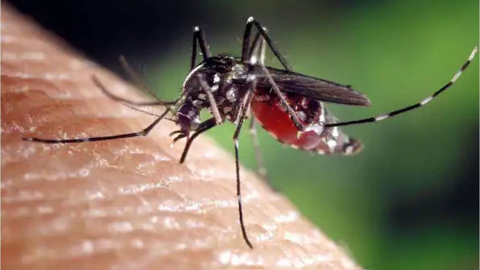 Tripura aims to eliminate Malaria by 2027, state-level review meeting charts roadmap Tripura aims to eliminate Malaria by 2027, state-level review meeting charts roadmap