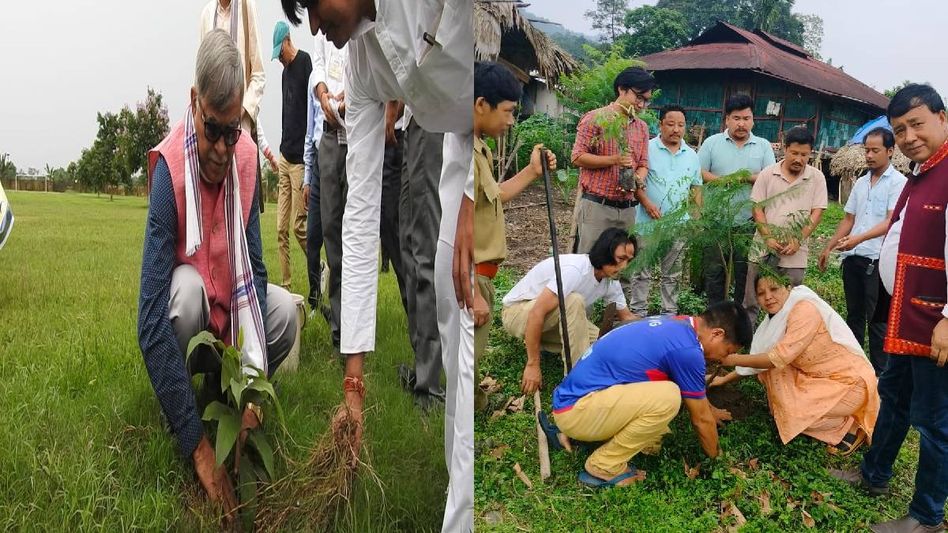 Green goals take root: Arunachal's East Siang observes World Environment Day with twin plantation drives Green goals take root: Arunachal's East Siang observes World Environment Day with twin plantation drives