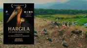 'Hargila': Assam documentary highlights grassroots conservation triumph of World's most endangered birds 'Hargila': Assam documentary highlights grassroots conservation triumph of World's most endangered birds