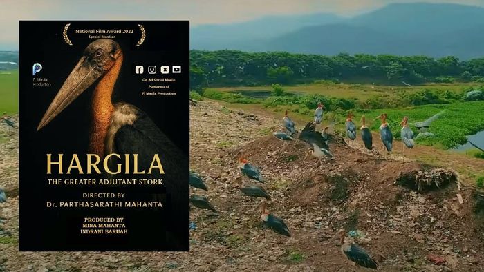 HARGILA documentary highlights Assam’s Greater Adjutant conservation success led by women