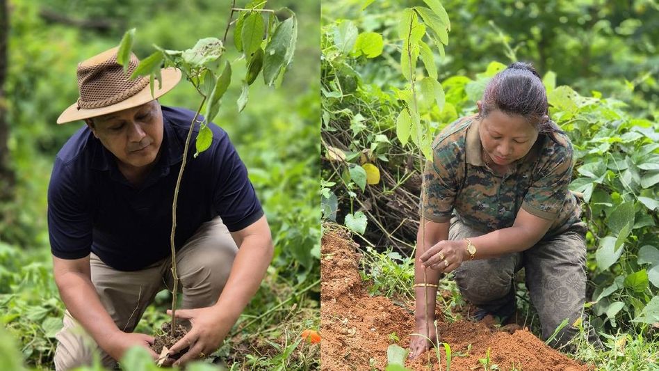 Meghalaya's Wangala village sees mass tree planting effort Meghalaya's Wangala village sees mass tree planting effort