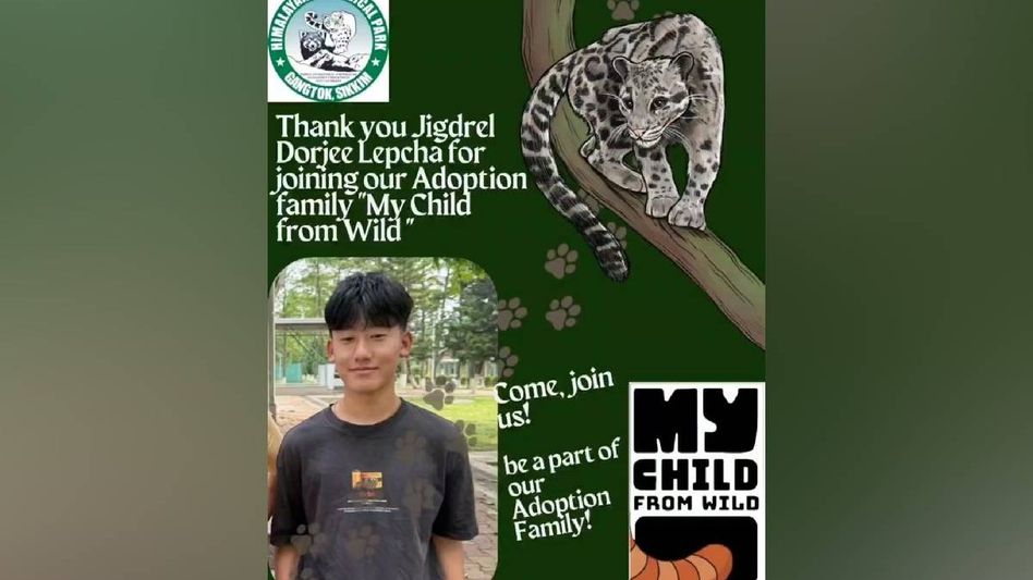 Sikkim teen basketball captain adopts endangered leopard, sparks youth interest in conservation Sikkim teen basketball captain adopts endangered leopard, sparks youth interest in conservation