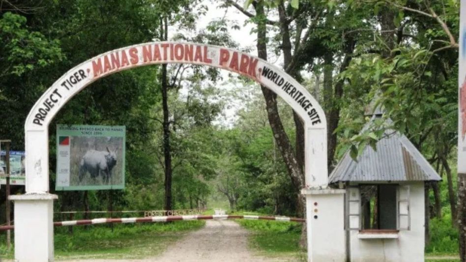 Manas to become major tourist hub with new check posts, staff recruitment: Assam CM Manas to become major tourist hub with new check posts, staff recruitment: Assam CM