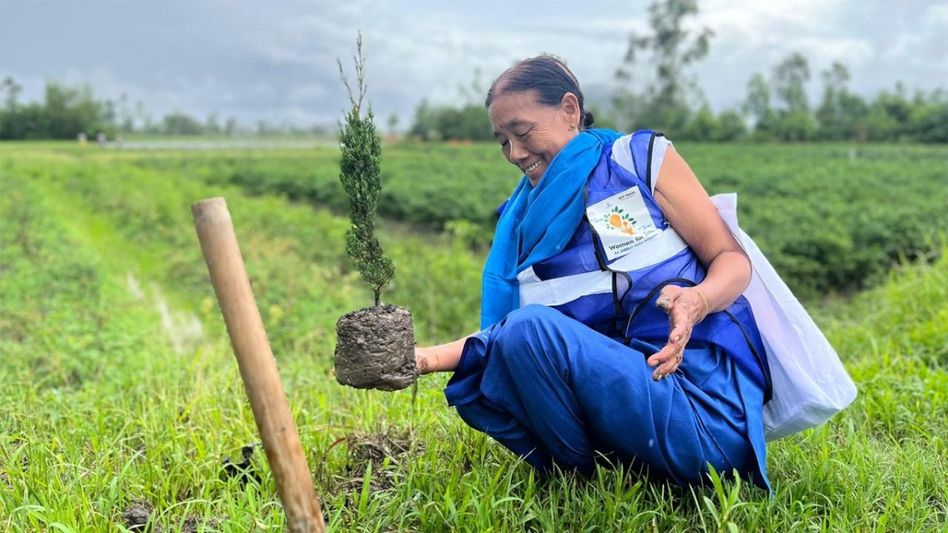 Manipur: Women-led tree plantation drive held in Nambol under “Ek Ped Maa Ke Naam” campaign Manipur: Women-led tree plantation drive held in Nambol under “Ek Ped Maa Ke Naam” campaign