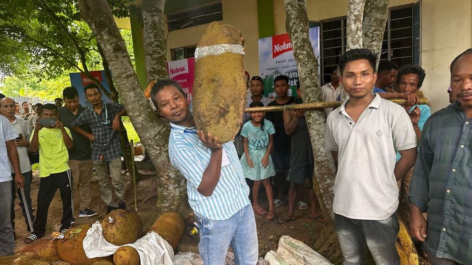 South West Garo Hills hosts first-ever Te•brong festival, showcasing jackfruit’s cultural heritage South West Garo Hills hosts first-ever Te•brong festival, showcasing jackfruit’s cultural heritage