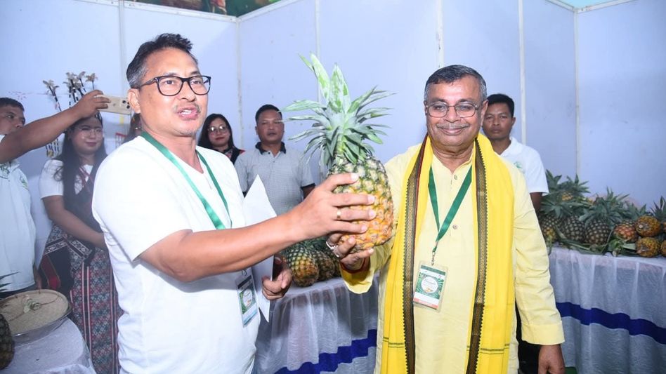 Rs 132 crore DoNER project to globalise Tripura’s queen pineapple: Minister Ratan Lal Nath Rs 132 crore DoNER project to globalise Tripura’s queen pineapple: Minister Ratan Lal Nath