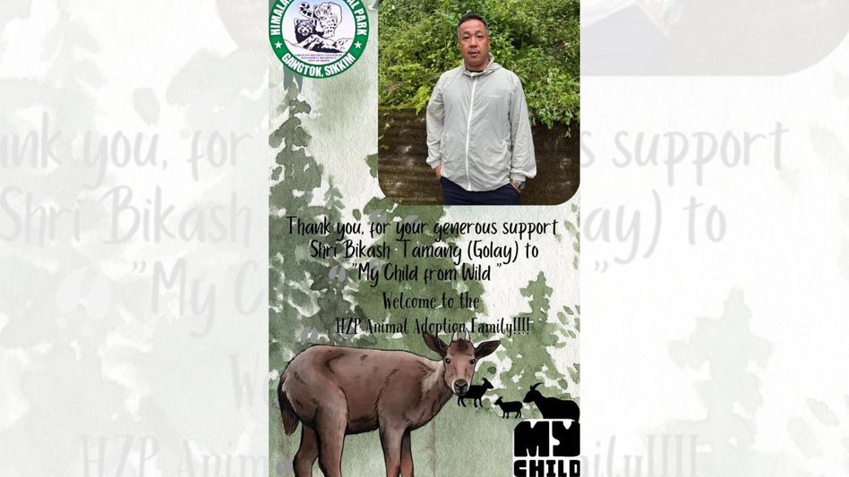 Sikkim’s Bikash Tamang becomes first to adopt Ghoral at Himalayan Zoological Park under 'My Child From Wild' initiative Sikkim’s Bikash Tamang becomes first to adopt Ghoral at Himalayan Zoological Park under 'My Child From Wild' initiative