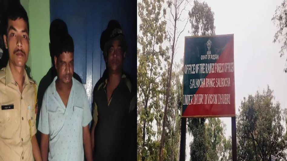 Illegal logging ravages Assam's Sarpomari Reserve Forest, one arrested Illegal logging ravages Assam's Sarpomari Reserve Forest, one arrested