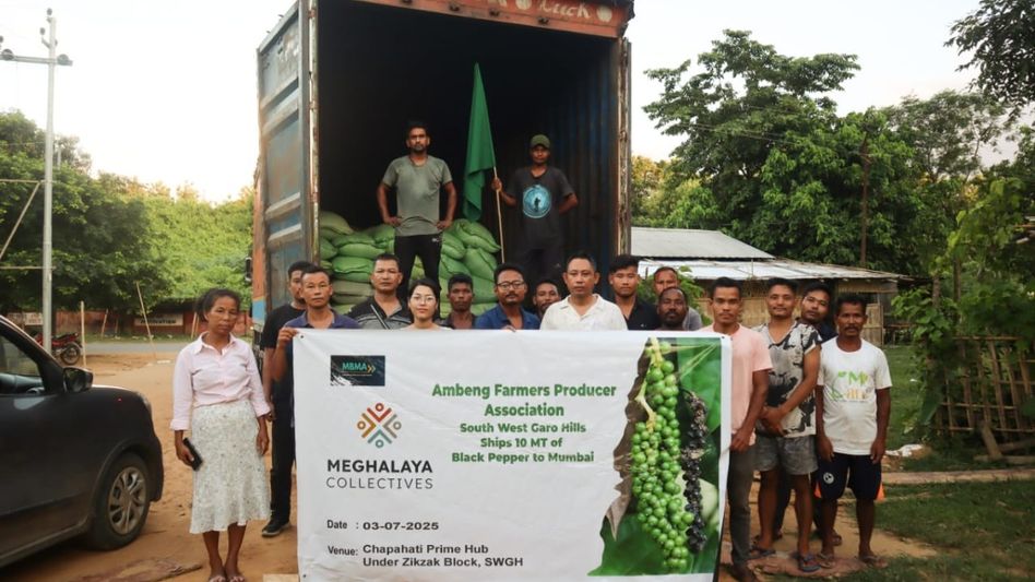 10 MT of South West Garo Hills black pepper shipped to Mumbai 10 MT of South West Garo Hills black pepper shipped to Mumbai