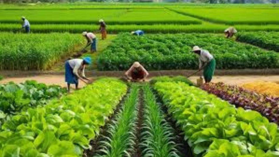 Fresh push for ‘vocal for local’: Arunachal flags off farm produce for border forces Fresh push for ‘vocal for local’: Arunachal flags off farm produce for border forces