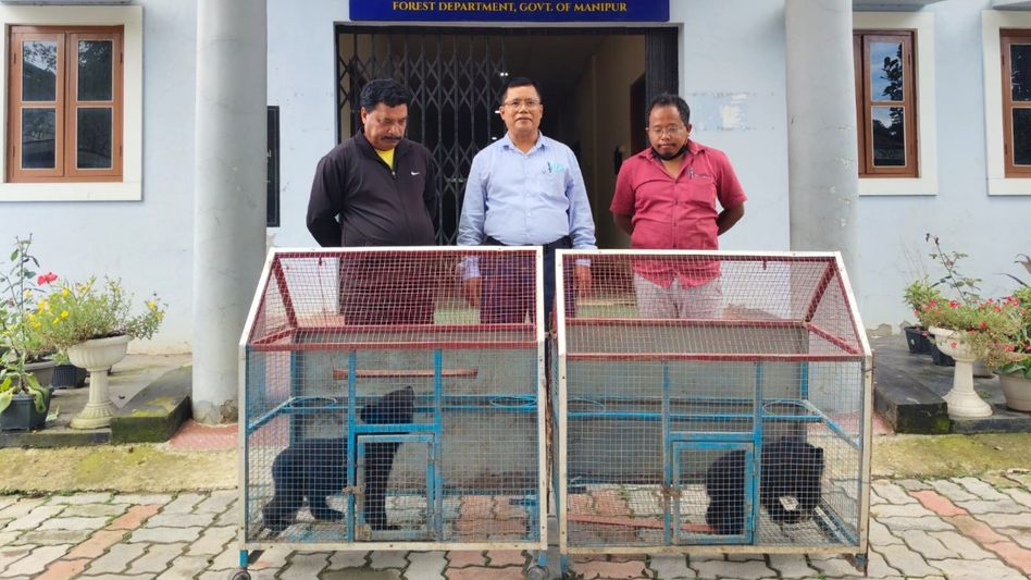Bear conservation drive held in Manipur's Tamenglong to boost community awareness Bear conservation drive held in Manipur's Tamenglong to boost community awareness