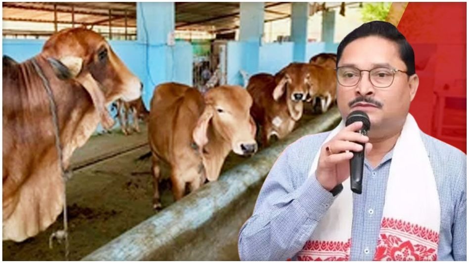 Cows bought with public money sold to Assam BJP president who failed to even pay Cows bought with public money sold to Assam BJP president who failed to even pay