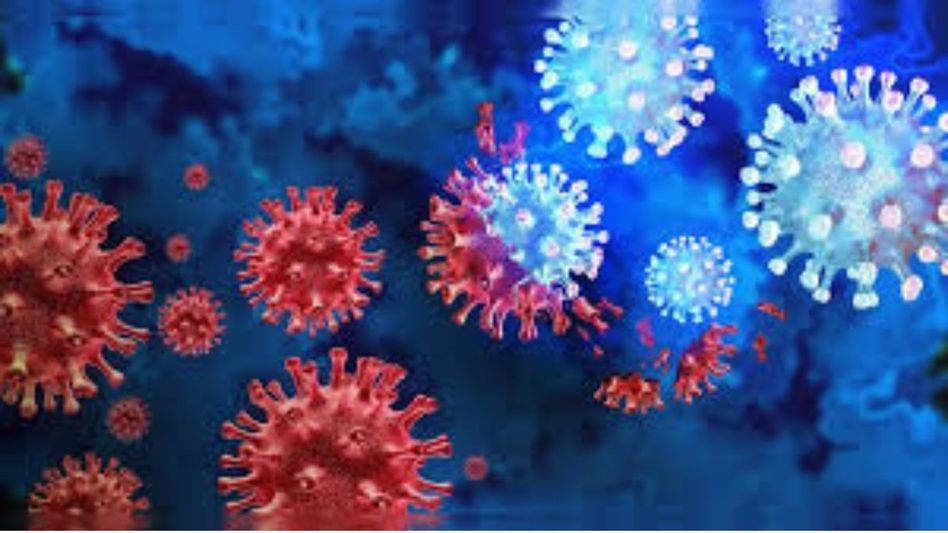 Active Covid cases in Manipur drop to 41 as recoveries reach 263 Active Covid cases in Manipur drop to 41 as recoveries reach 263