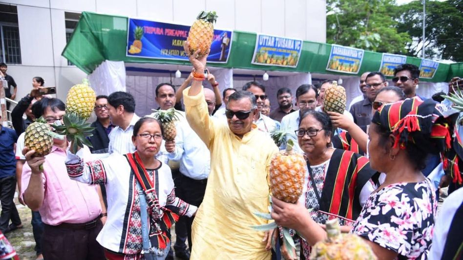 Tripura exports 73 MT of pineapple to Gulf nations, eyes global branding for Queen variety Tripura exports 73 MT of pineapple to Gulf nations, eyes global branding for Queen variety
