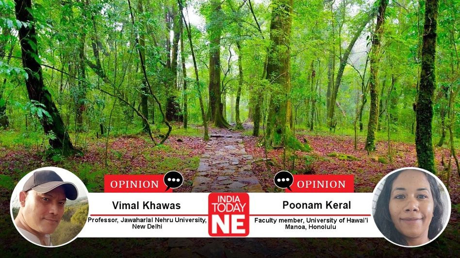 Sacred Groves: India’s Ancient Guardians of Nature and Culture Sacred Groves: India’s Ancient Guardians of Nature and Culture