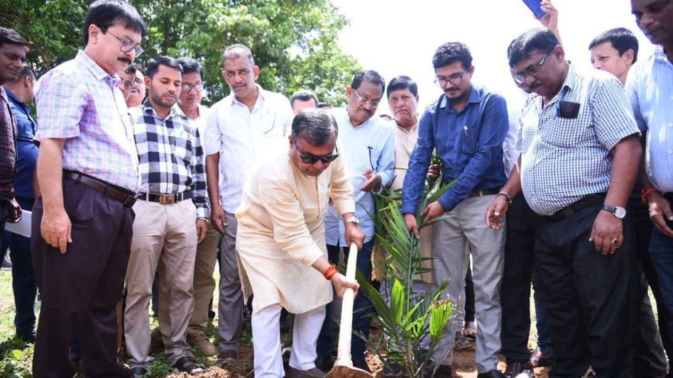 Tripura cultivates 4,000 hectares of oil palm, research centre on the cards Tripura cultivates 4,000 hectares of oil palm, research centre on the cards