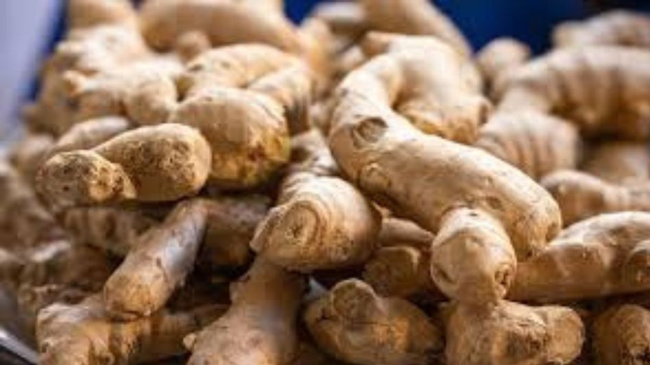 Four companies get green light to set Up ginger processing units in Mizoram Four companies get green light to set Up ginger processing units in Mizoram
