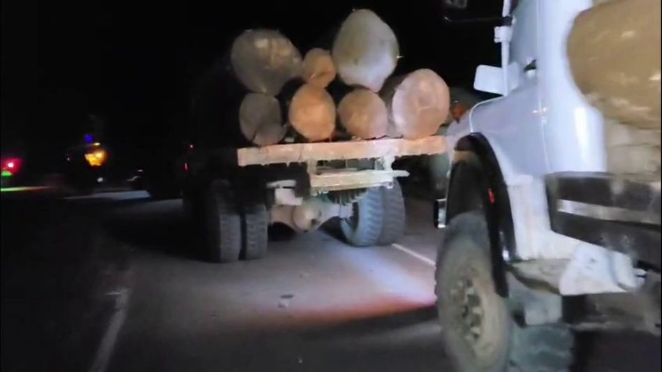 Arunachal: Adi students expose timber smuggling racket, slam forest department inaction Arunachal: Adi students expose timber smuggling racket, slam forest department inaction