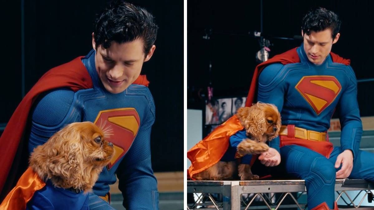 James Gunn Superman Box Office Collection India Rs 43.40 Crore Steady Performance