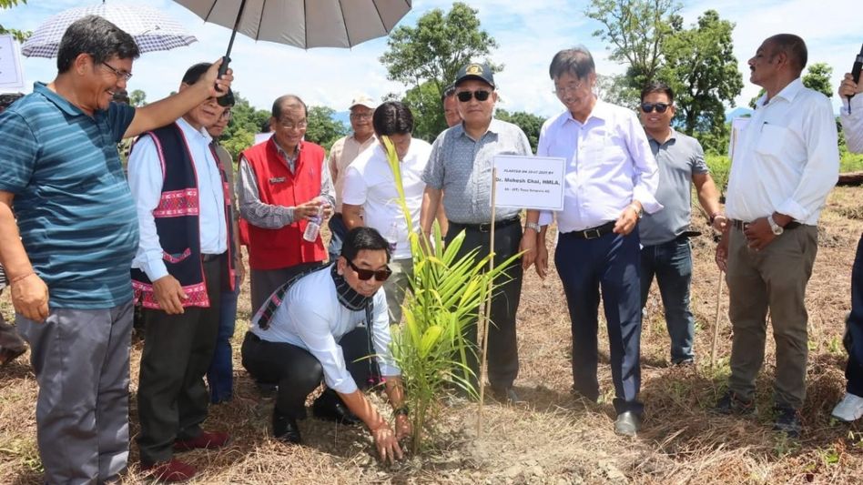 Arunachal's Lohit district launches oil palm plantation drive to boost self-reliance Arunachal's Lohit district launches oil palm plantation drive to boost self-reliance