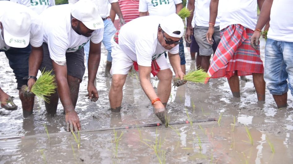 Tripura aims for 25,200 hectares hybrid rice cultivation under SRI in 2025–26: Minister Tripura aims for 25,200 hectares hybrid rice cultivation under SRI in 2025–26: Minister