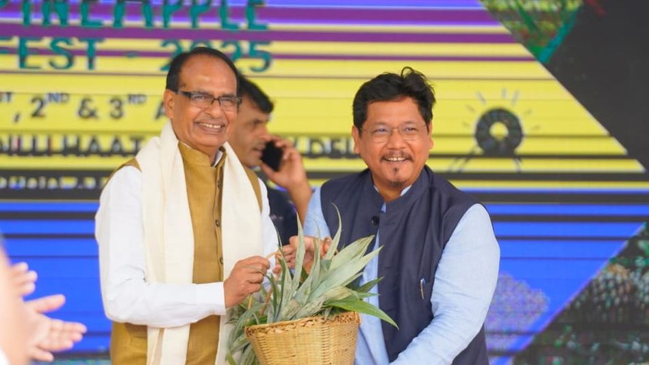 Third Meghalaya Pineapple Festival opens in Delhi with major retail partnerships Third Meghalaya Pineapple Festival opens in Delhi with major retail partnerships