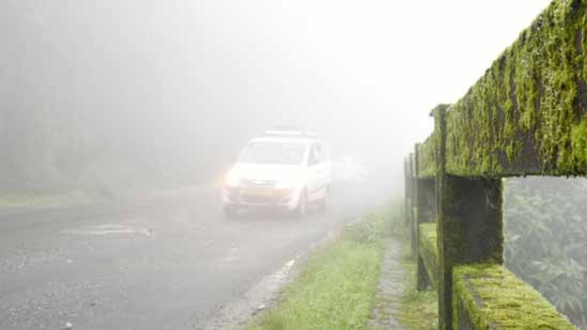 Roadside picnics banned in East Khasi Hills to curb tourist littering Roadside picnics banned in East Khasi Hills to curb tourist littering